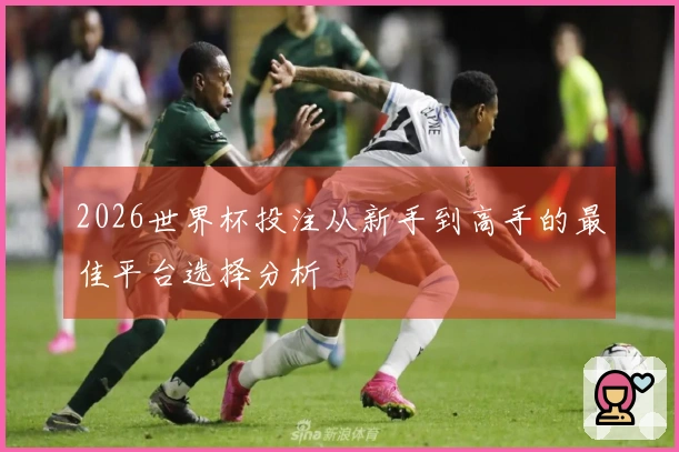 2026世界杯投注从新手到高手的最佳平台选择分析