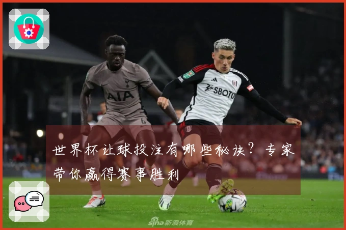 世界杯让球投注有哪些秘诀？专家带你赢得赛事胜利