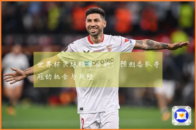 世界杯买球赔率分析：预测各队夺冠的机会与风险