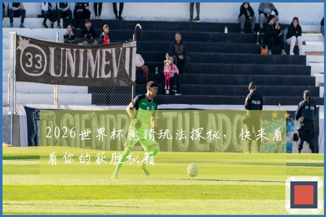 2026世界杯竞猜玩法探秘，快来看看你的获胜秘籍