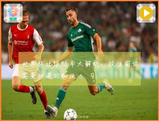 世界杯让球赔率大解析，投注前你需要知道的秘诀