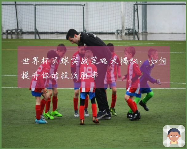 世界杯买球实战策略大揭秘，如何提升你的投注胜率