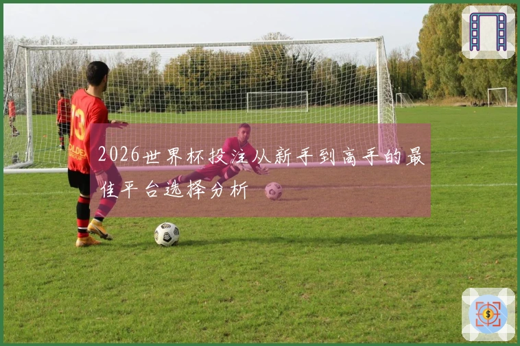2026世界杯投注从新手到高手的最佳平台选择分析
