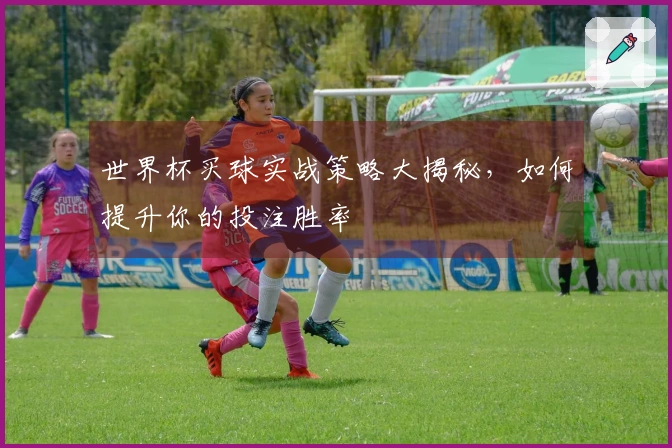 世界杯买球实战策略大揭秘，如何提升你的投注胜率